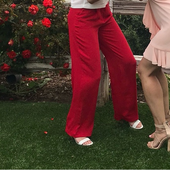 Aritzia Babaton pant - Picture 3 of 3